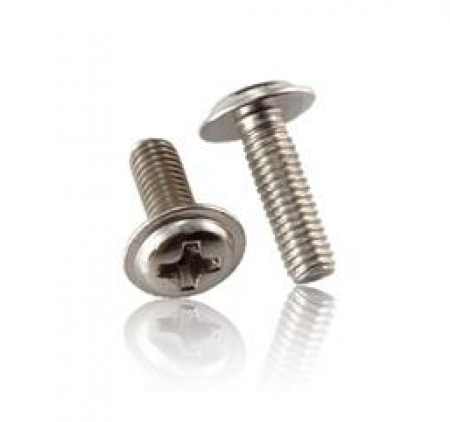 Screw