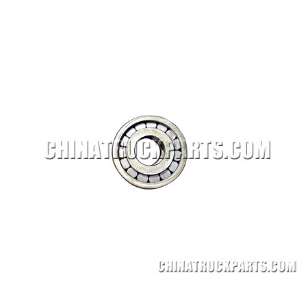 Roller Bearing