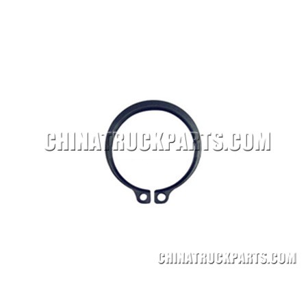 Shaft with a spring ring
