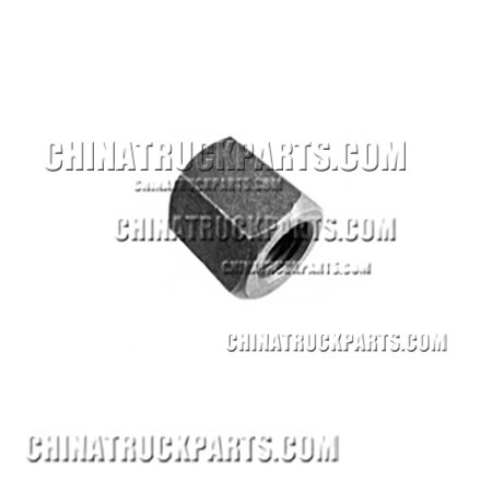 Sinotruk Howo Central Nut-WG9232520025+013 for Sale