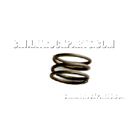 23-Shacman F2000 Tractor Truck Parts Pressure Spring-81.97602.0764 for Sale