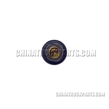 Cylinder Piston