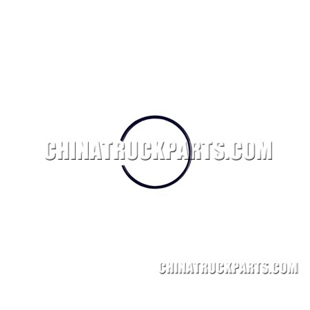 Snap Ring