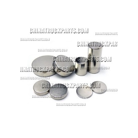 Magnet