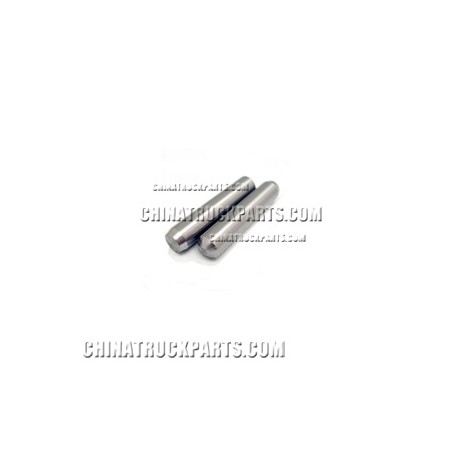 Pin