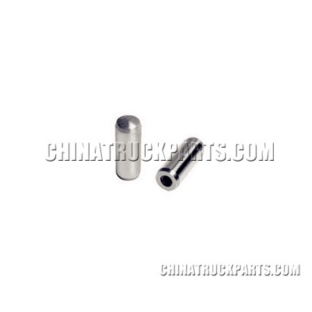Pin