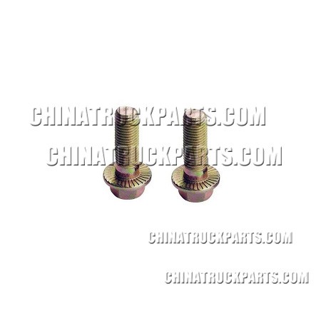 3.1-C&C (VH) Hexagon Flange Bolt-190111060600AA0A For Sale