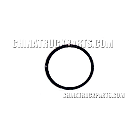 Sinotruk Howo Truck Engine Parts Seals- WG9731540079 For Sale