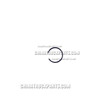 Sanp Ring