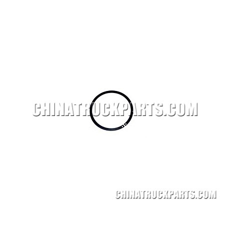 Snap Ring