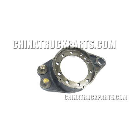 Sinotruk Howo Parts Brake Plate-WG9231340560 For Sale