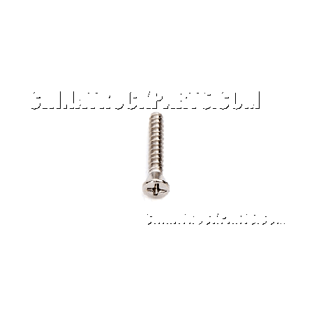 Lock Fastening Screw