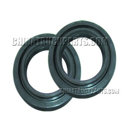 Truck Parts Oil Seal-2202Z66D-085-B for Hot Sale