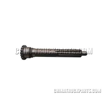 Input shaft