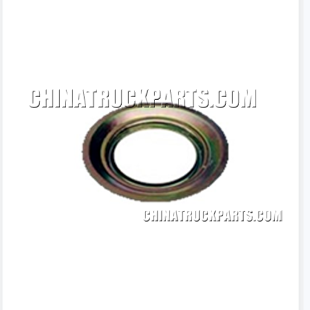 9-Dongfeng Tianlong Truck Parts Dust Cover 2402N-067