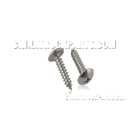 Screw