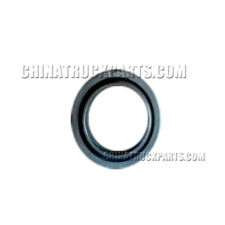9-Shacman F2000 Tractor Truck Parts Bearing Bushing-06.36950.0510 for Sale
