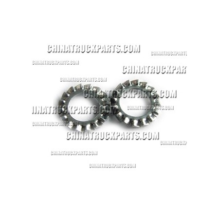 External Serrated Lock Washer